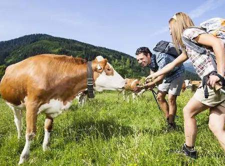 Apartamento Casper *