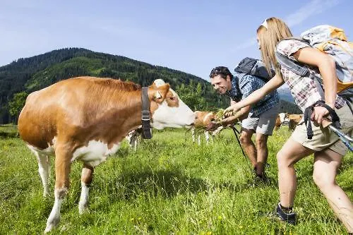 Appartamento Casper *